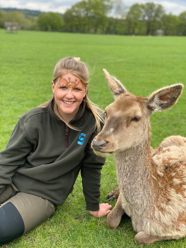 Lily, our ranger sat with Edal the red deer on bank holiday weekend