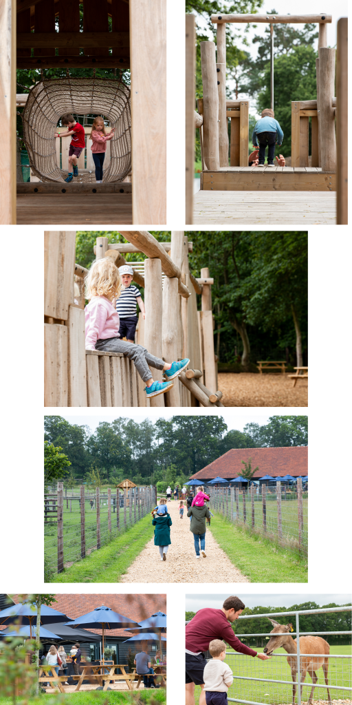 Images of children and families at Sky Park Farm