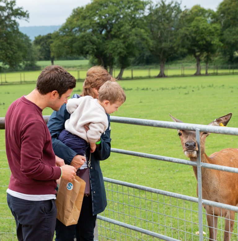 Our Farm - Sky Park Farm