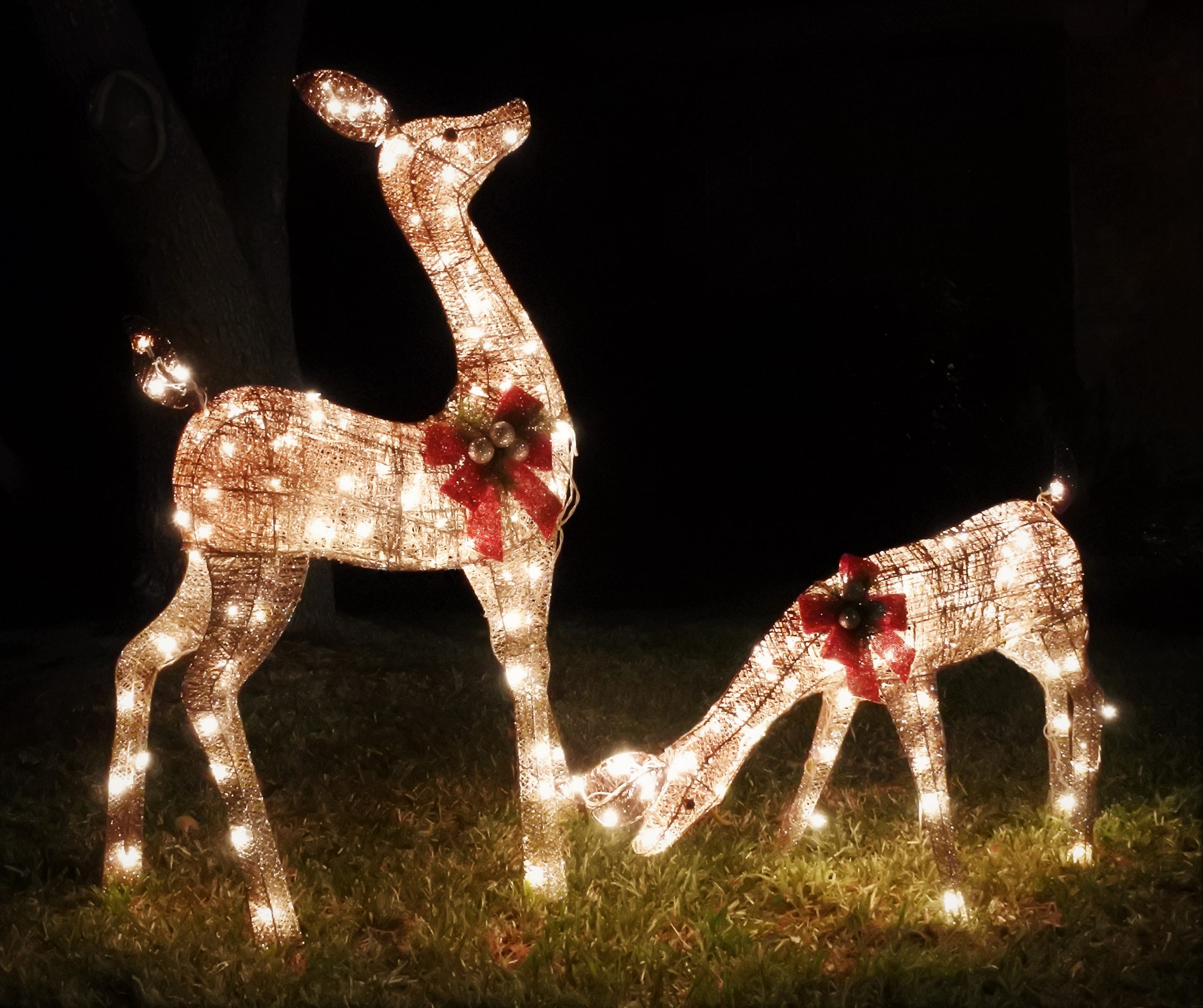 Two statues of reindeer decorated for Christmas with red wreaths glow with white fairy lights at night on grass.