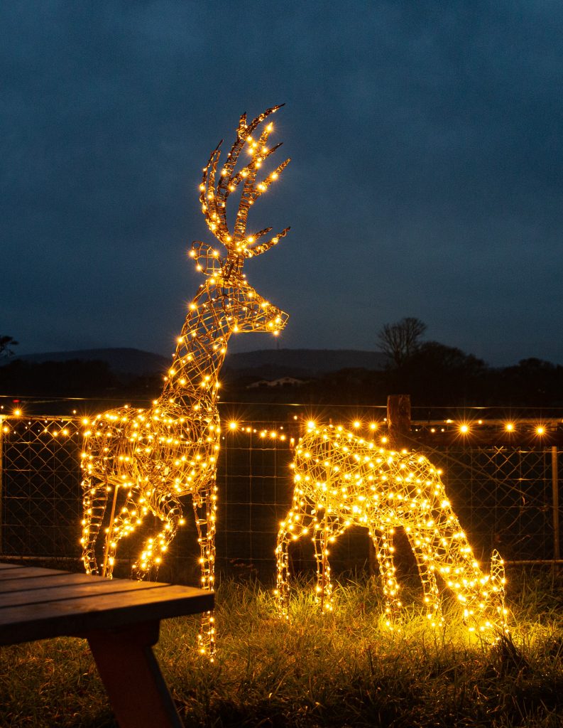 Christmas lights at Sky Park Farm