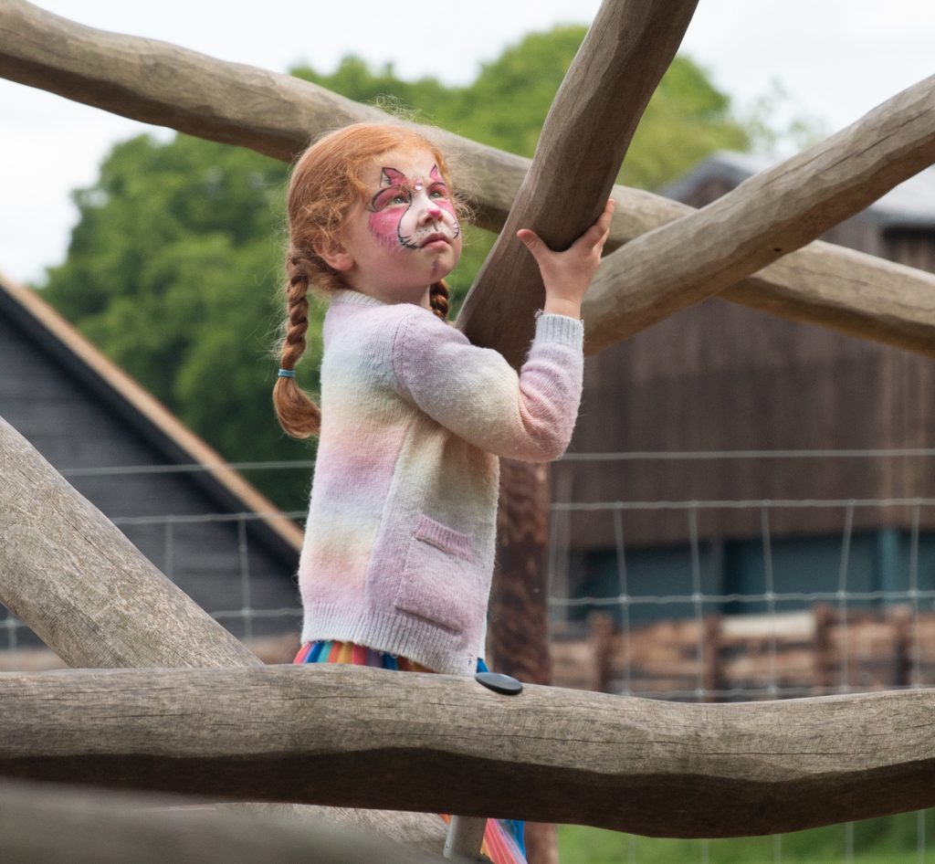 child with face painted climbing a wooden climbing frame