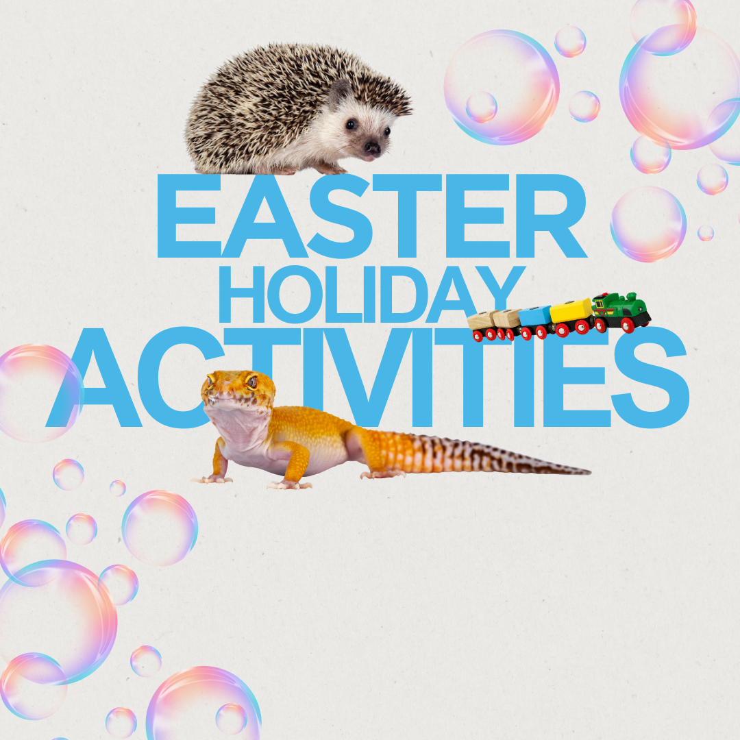 Easter Holiday Activities - Sky Park Farm